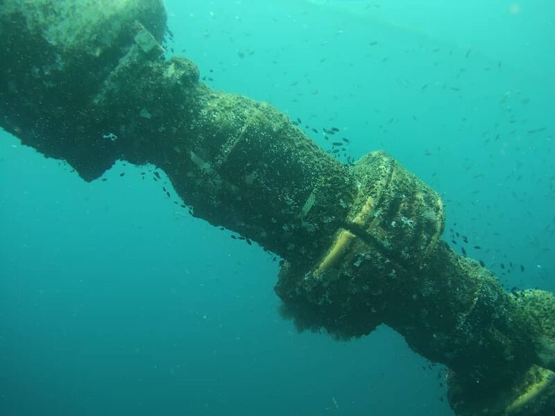 Marine growth on an offshore pipeline joint during UUV inspection