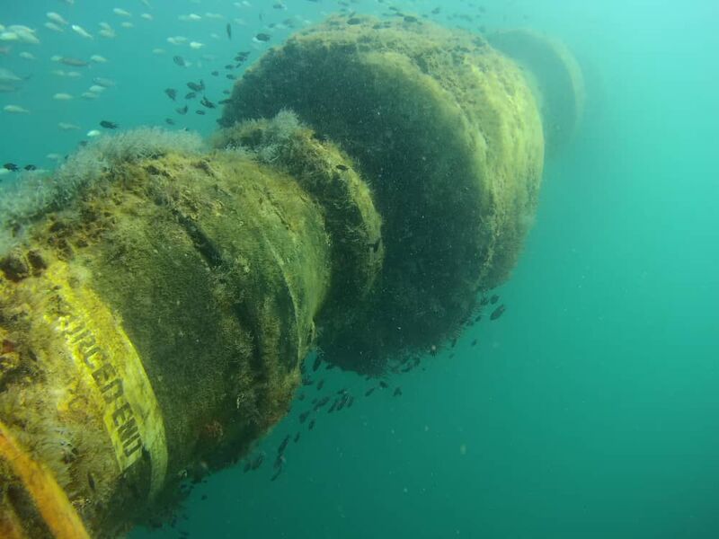 Fouled subsea pipeline section with visible markings offshore