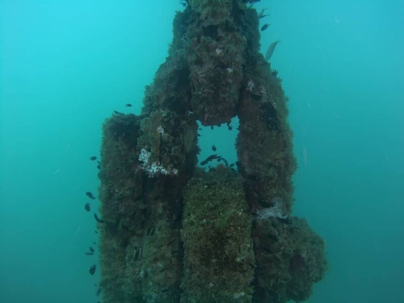 Offshore jacket structure covered in marine growth