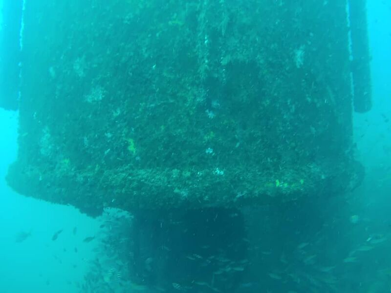 Underwater inspection of an offshore platform support column