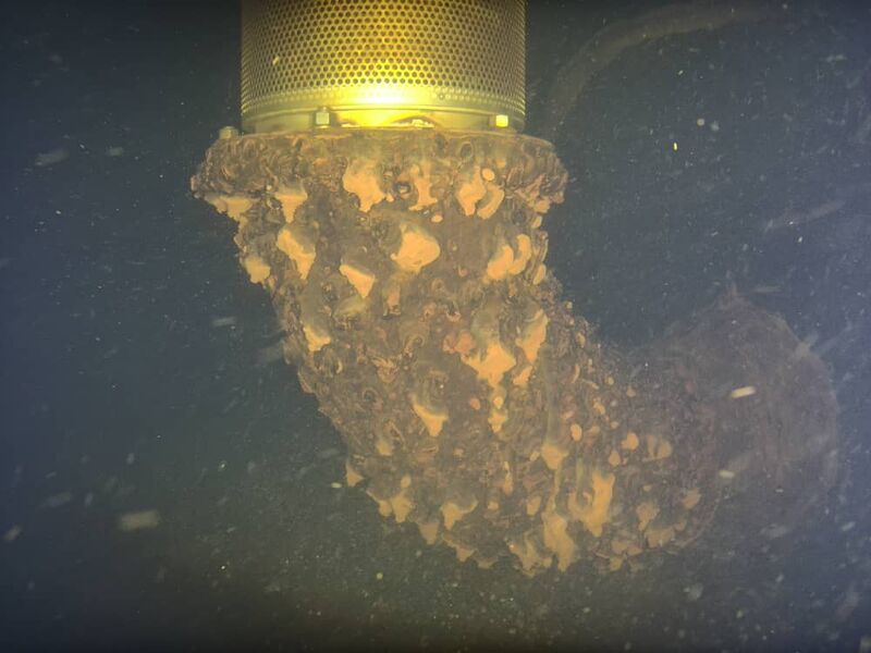Heavily fouled strainer elbow found during water tank inspection